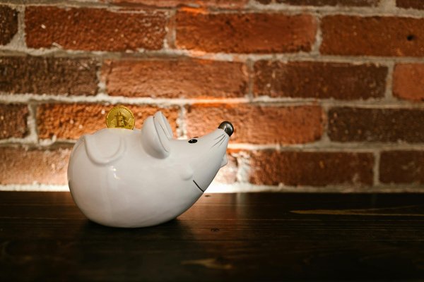 Utiliser la loi Hamon pour renégocier son taux immobilier